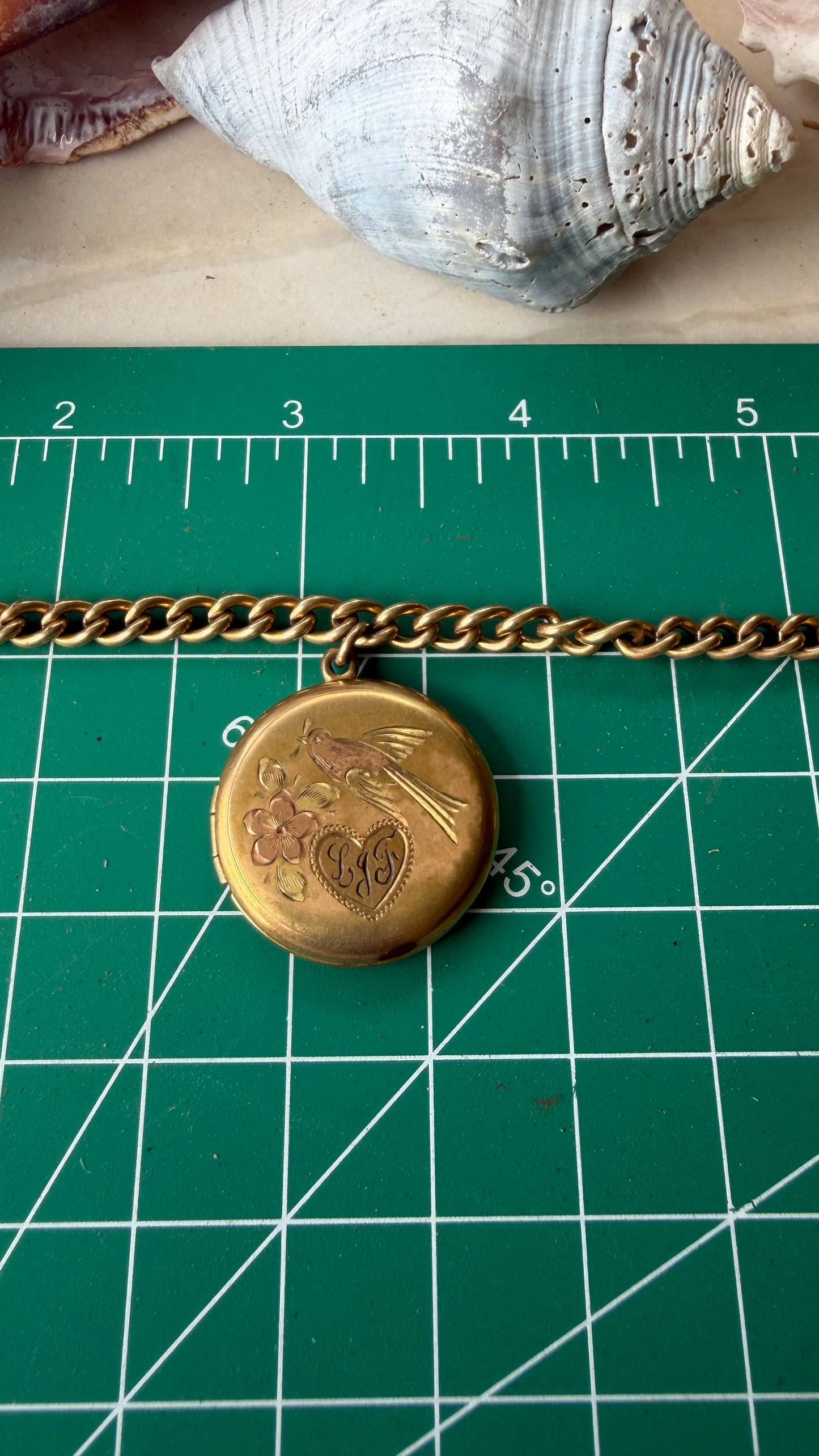 Bird Locket Gold-Filled Charm Bracelet