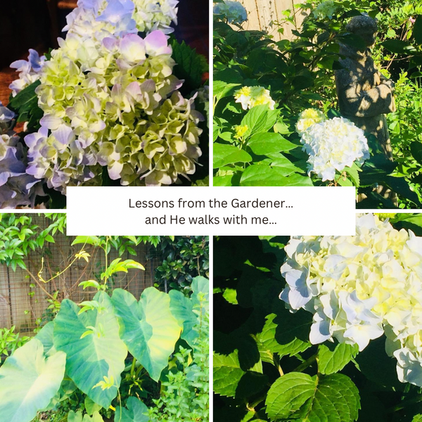 Lessons from the Gardener….