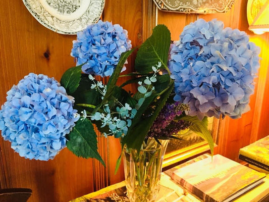 Summer blues 2019