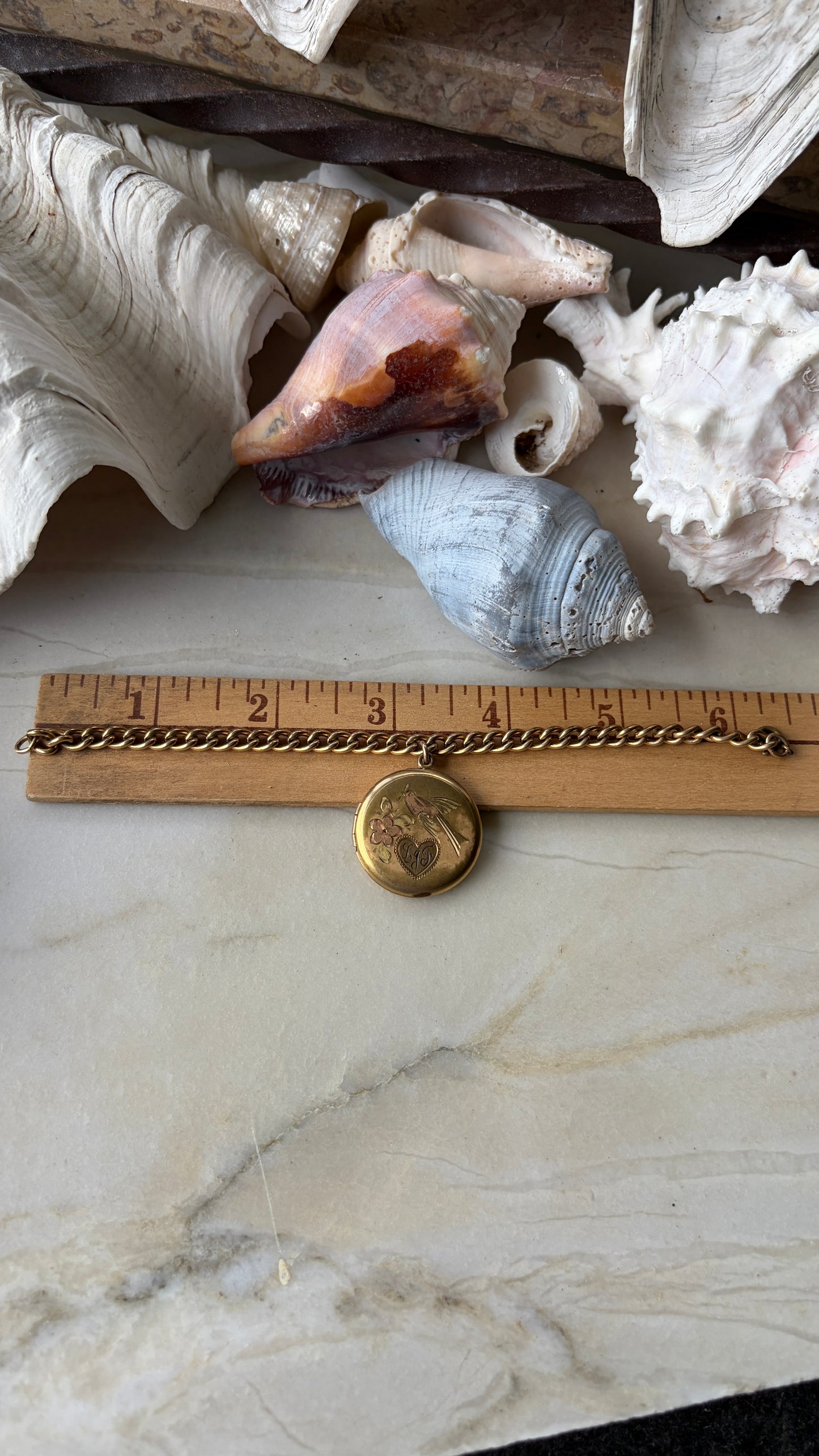 Bird Locket Gold-Filled Charm Bracelet